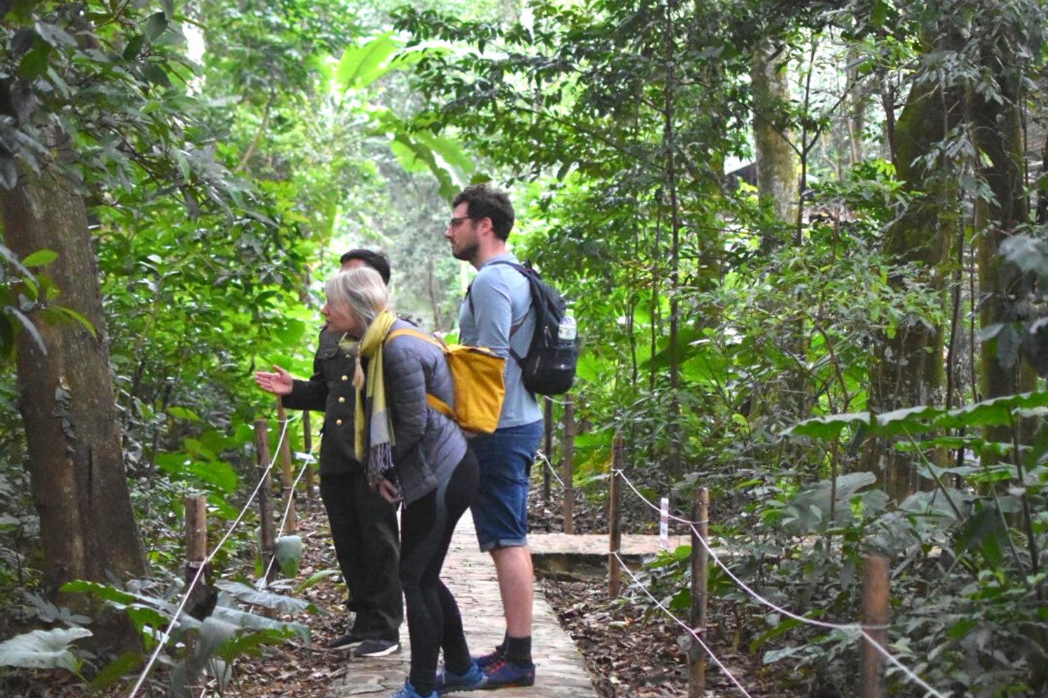 Cuc Phuong National Park in Ninh Binh